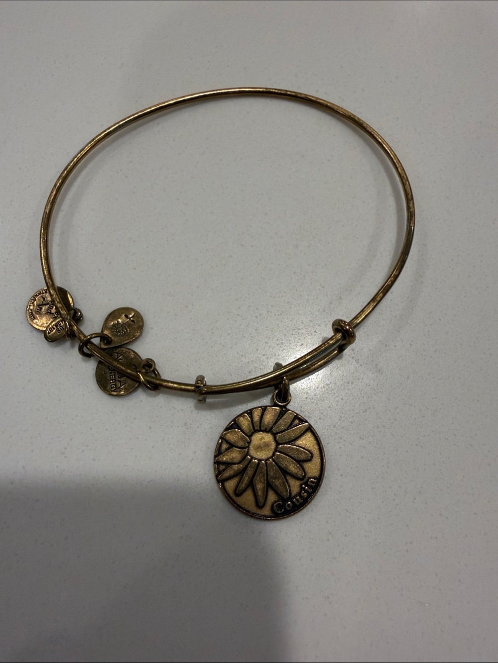 Alex and Ani Gold Cousin Daisy Medallion Charm Bangle Bracelet